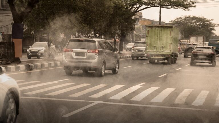 Specjalista ds. jakości powietrza